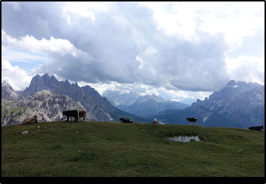 DSC00383.jpg?type=w966&jopt=2