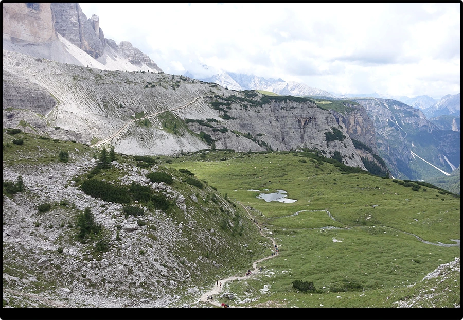 DSC00295.jpg?type=w966&jopt=2