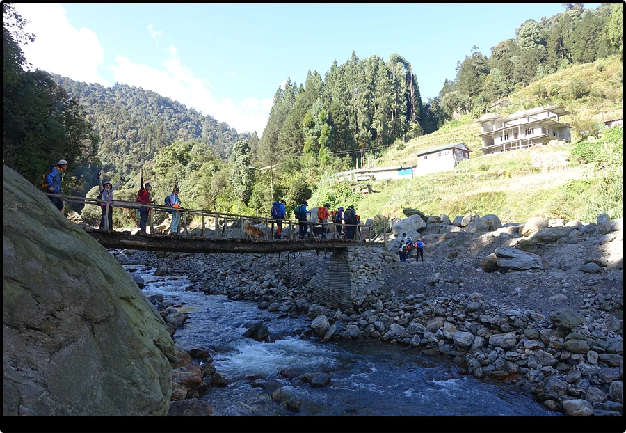 DSC00755.jpg?type=w966