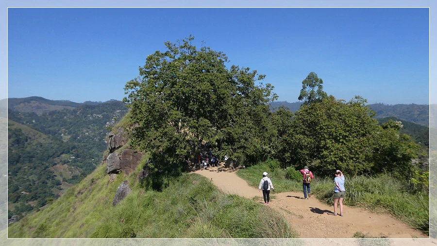 P1011758.jpg?type=w966