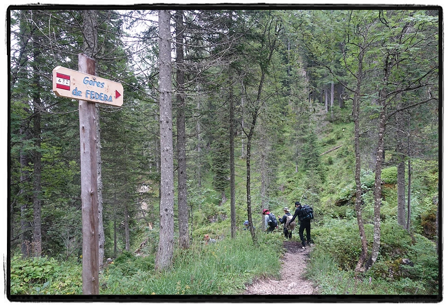 DSC00201.jpg?type=w966&jopt=2