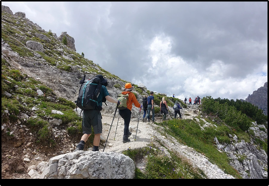 DSC00318.jpg?type=w966&jopt=2