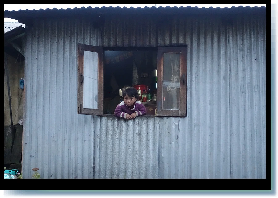 DSC00466.jpg?type=w966