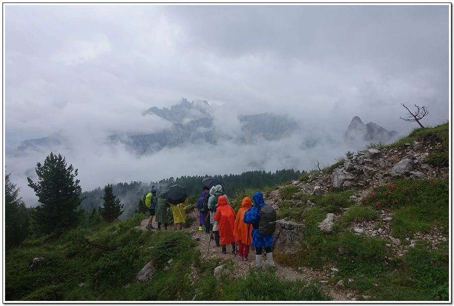 DSC00078.jpg?type=w966&jopt=2