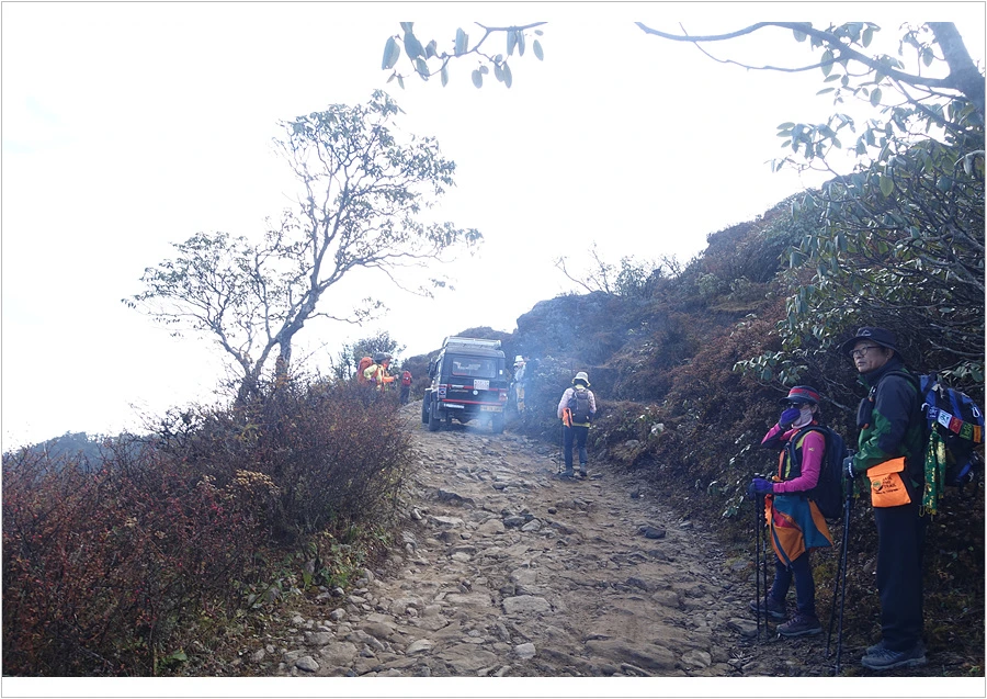 DSC01175.jpg?type=w966