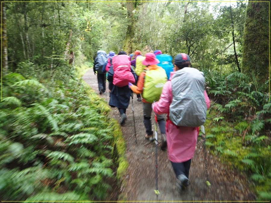 4.jpg?type=w966&jopt=2