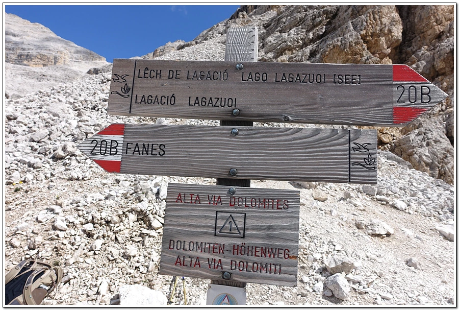 DSC00306.jpg?type=w966&jopt=2