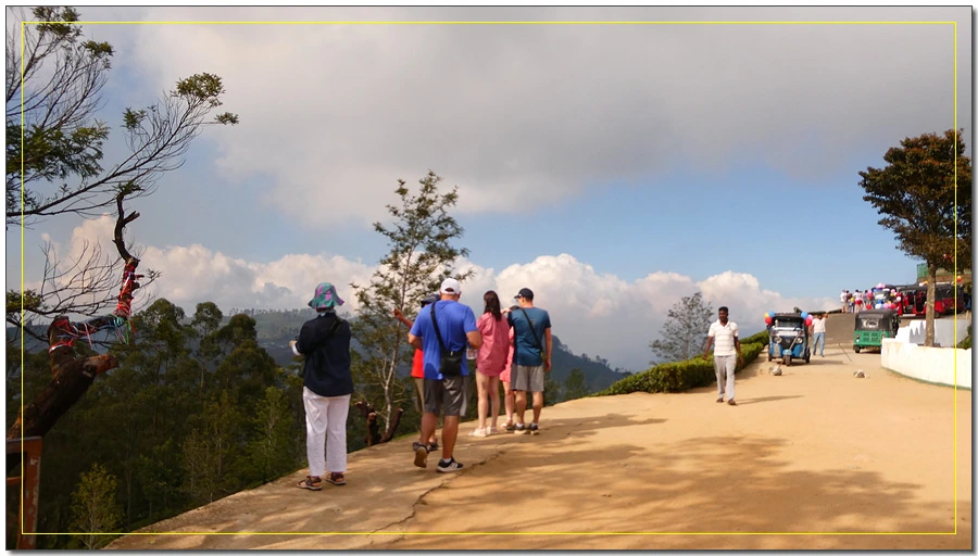 P1011602.jpg?type=w966