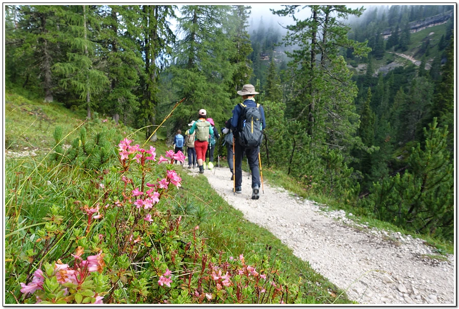 DSC00042.jpg?type=w966&jopt=2