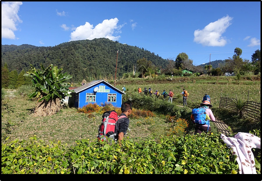 DSC00743.jpg?type=w966