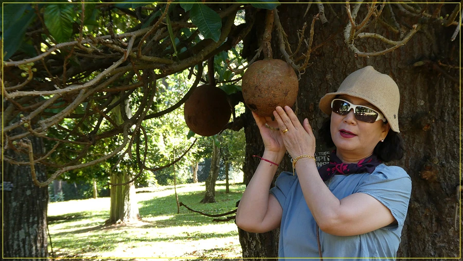 P1011311.jpg?type=w966