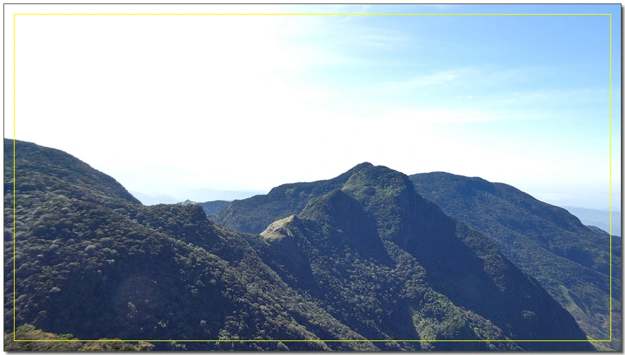 P1011533.jpg?type=w966