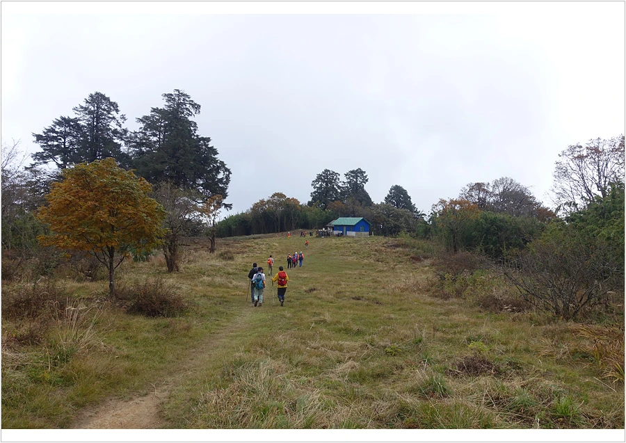 DSC01199.jpg?type=w966