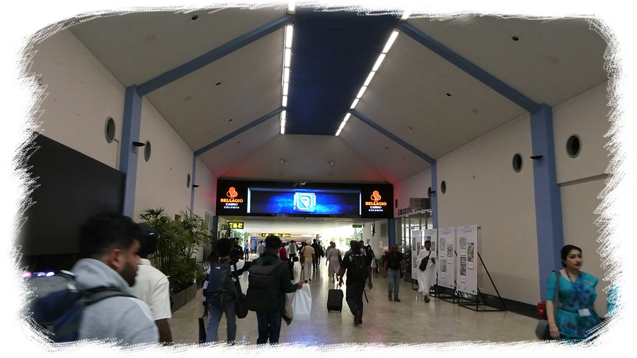 P1010774.jpg?type=w966