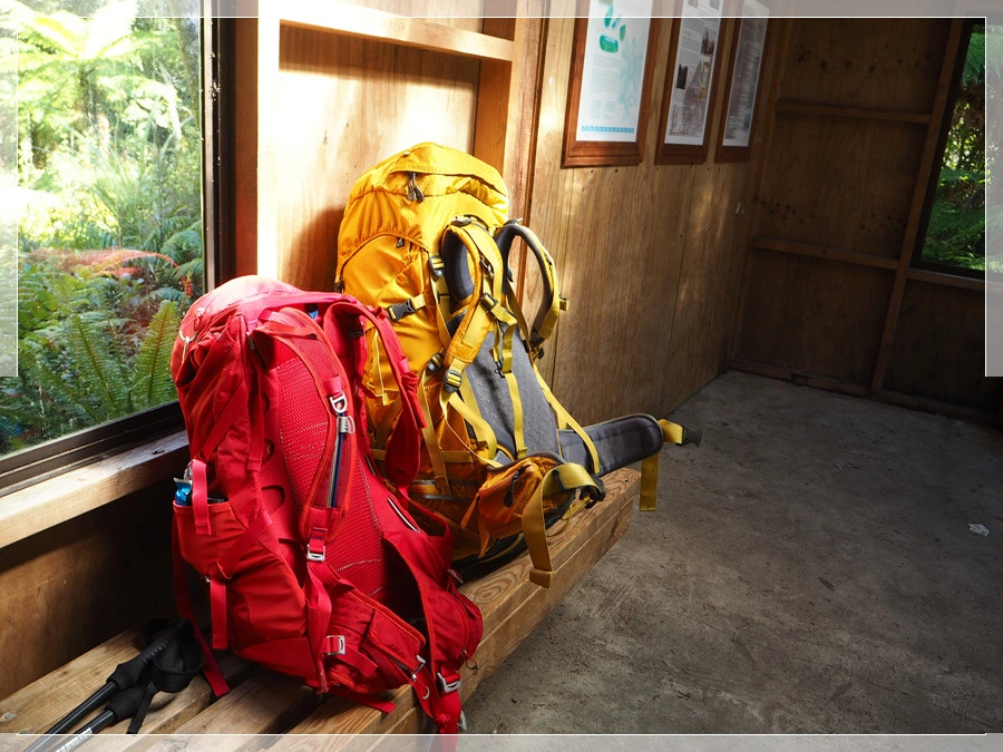 26.jpg?type=w966&jopt=2