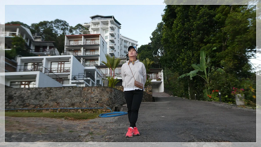 P1011648.jpg?type=w966