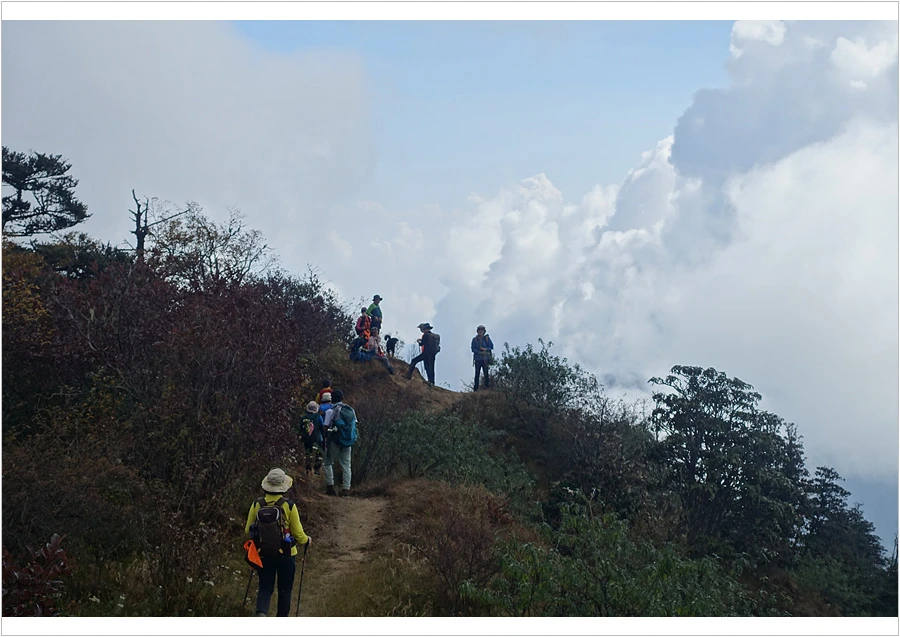 DSC01194.jpg?type=w966