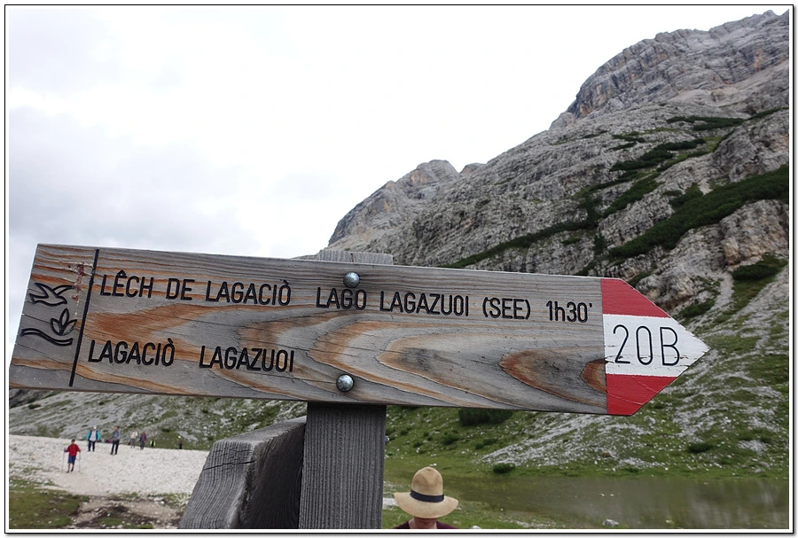 DSC00256.jpg?type=w966&jopt=2