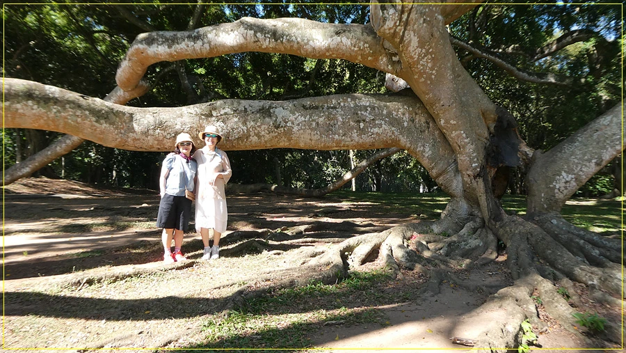 P1011301.jpg?type=w966