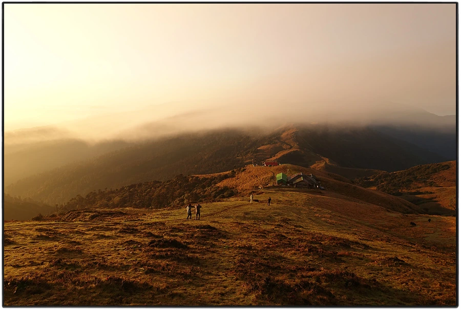 DSC00907.jpg?type=w966