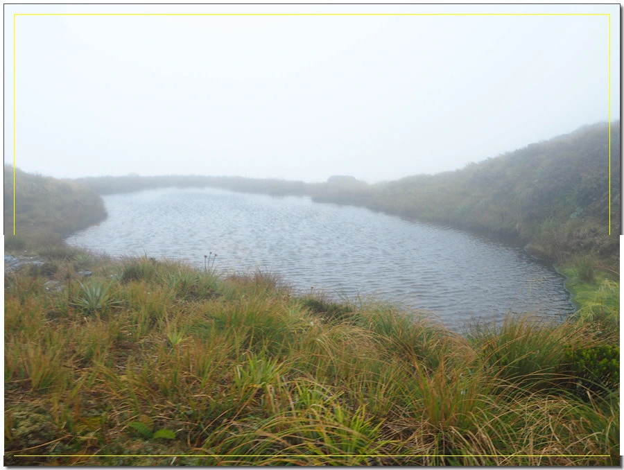 12.jpg?type=w966&jopt=2