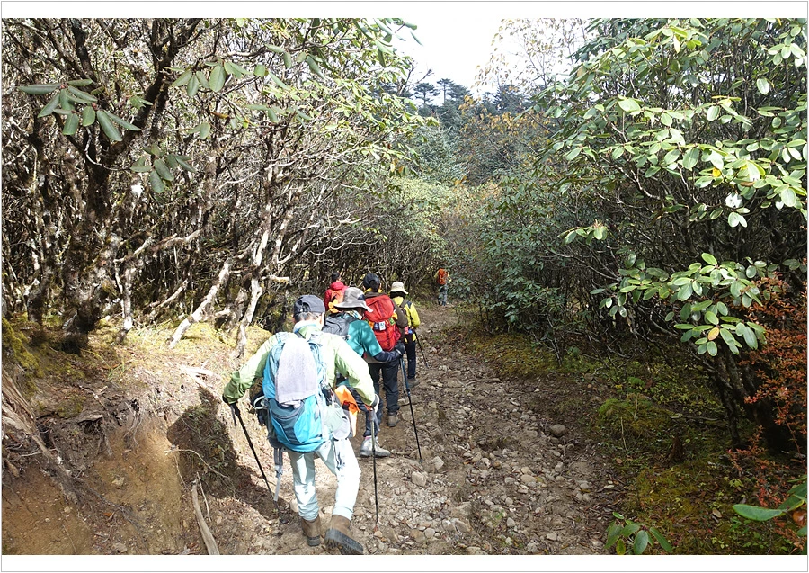 DSC01191.jpg?type=w966