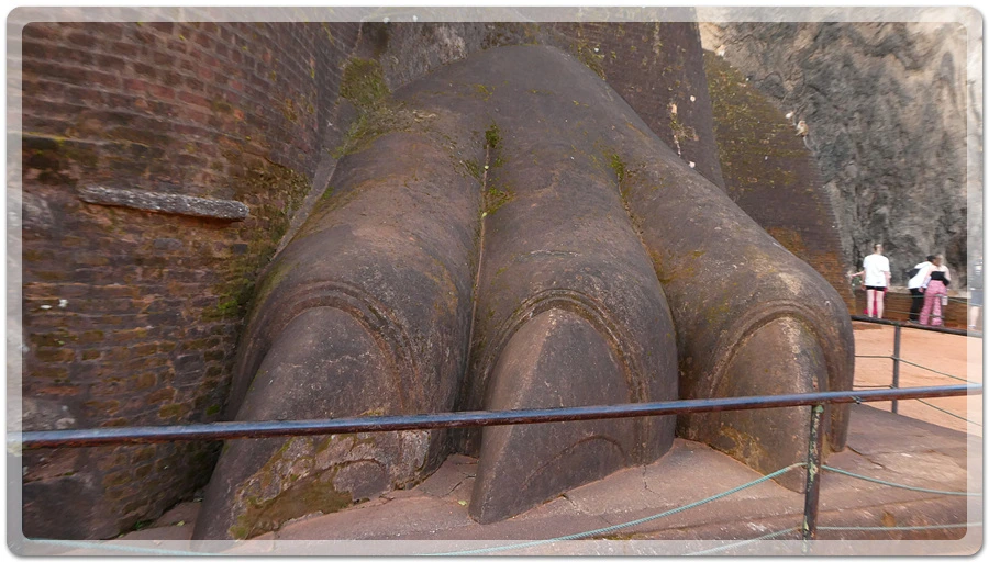 P1011096.jpg?type=w966