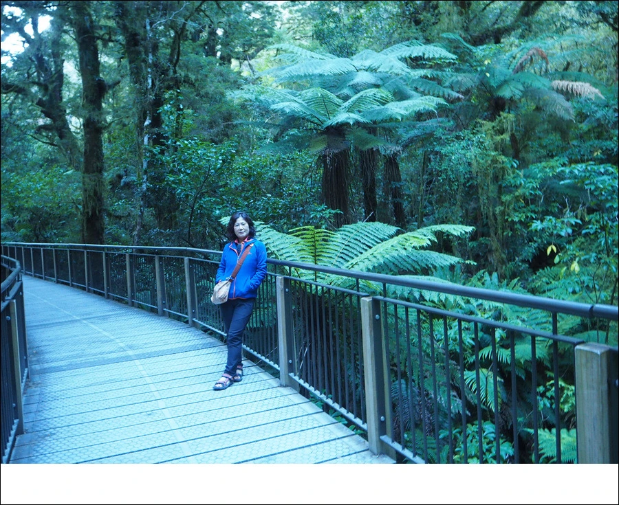 15.jpg?type=w966&jopt=2