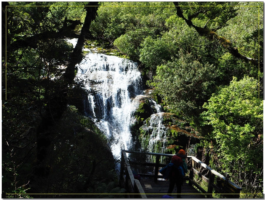 32.jpg?type=w966&jopt=2