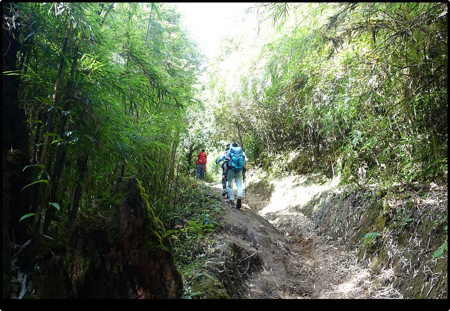 DSC00769.jpg?type=w966