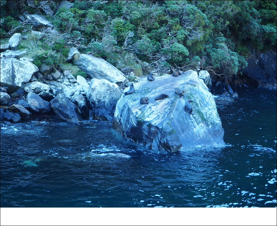 28.jpg?type=w966&jopt=2