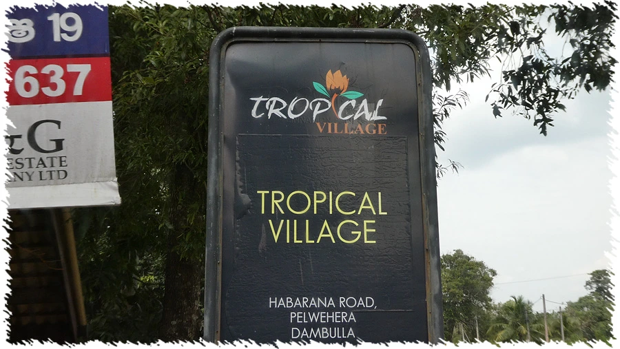 P1010851.jpg?type=w966