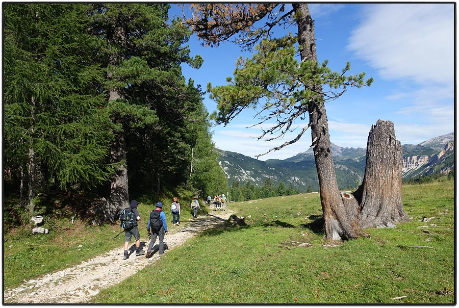 DSC00132.jpg?type=w966&jopt=2