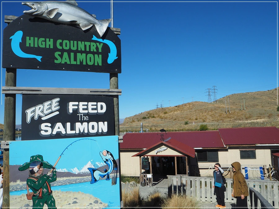 11.jpg?type=w966&jopt=2