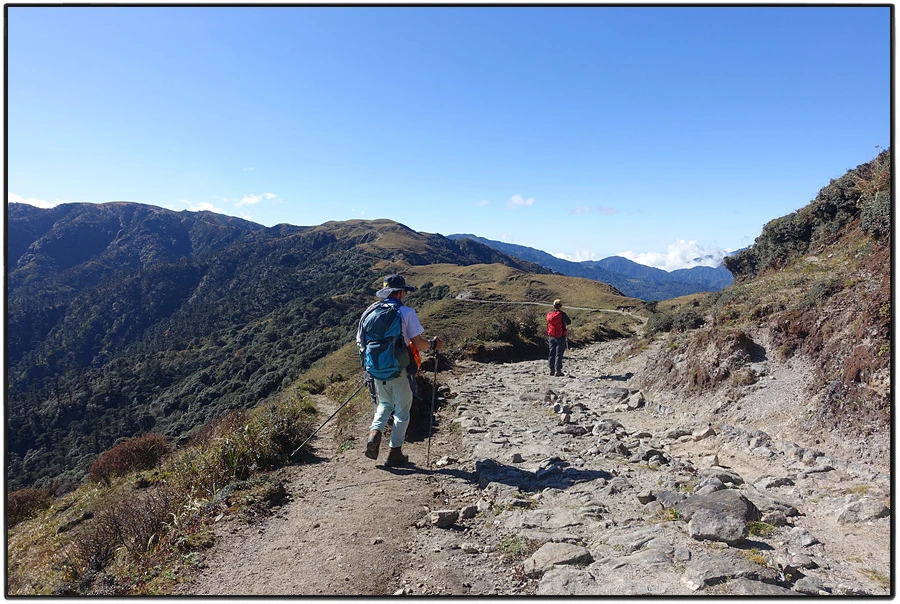 DSC00997.jpg?type=w966