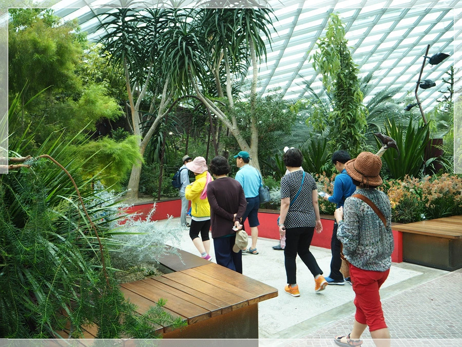 27.jpg?type=w966&jopt=2