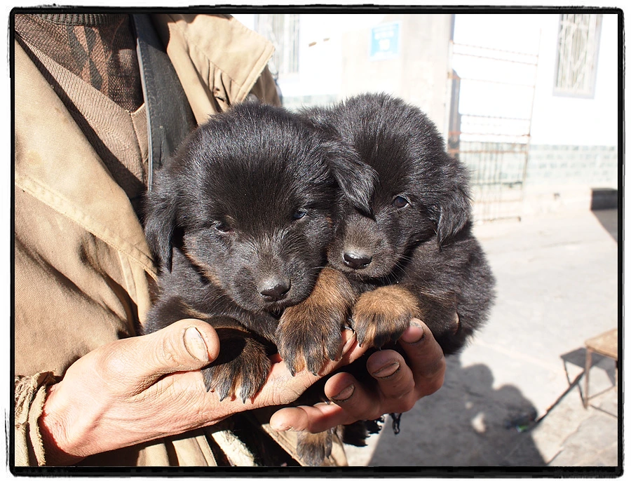 %EC%82%AC%EC%A7%84_155.jpg?type=w966