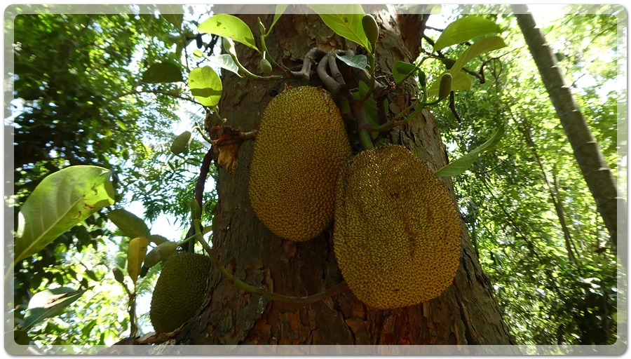 P1011148.jpg?type=w966