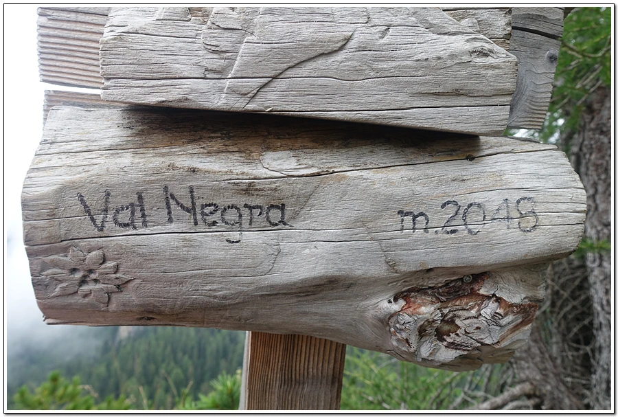 DSC00179.jpg?type=w966&jopt=2