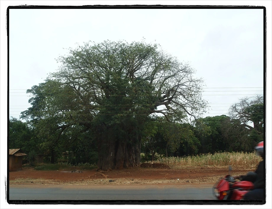 53.jpg?type=w966&jopt=2