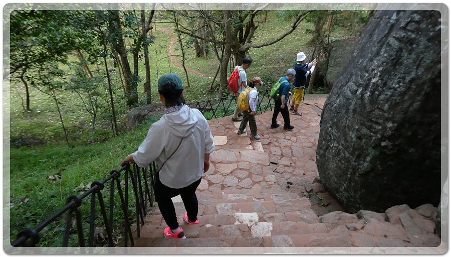 P1011120.jpg?type=w966