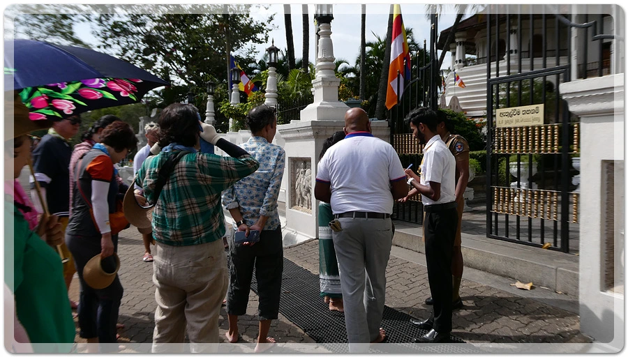 P1011173.jpg?type=w966