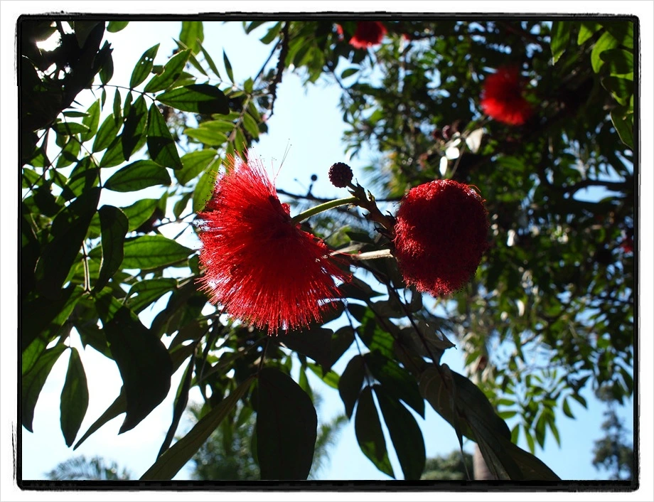 40.jpg?type=w966&jopt=2