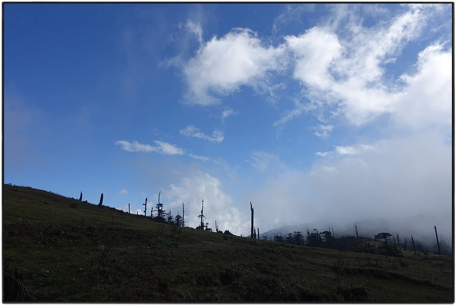 DSC01095.jpg?type=w966