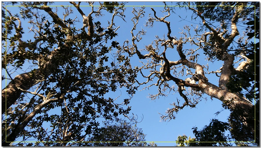 P1011500.jpg?type=w966