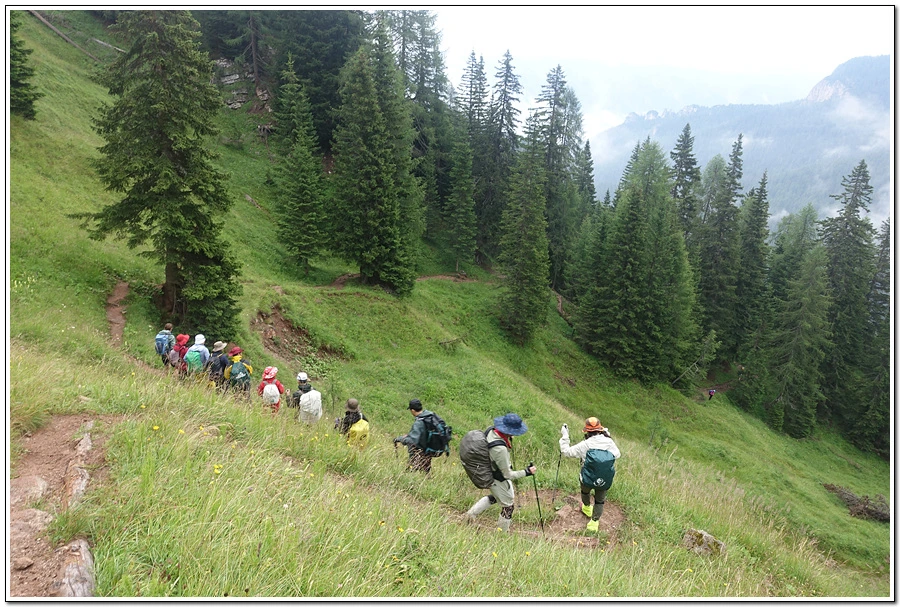 DSC00111.jpg?type=w966&jopt=2