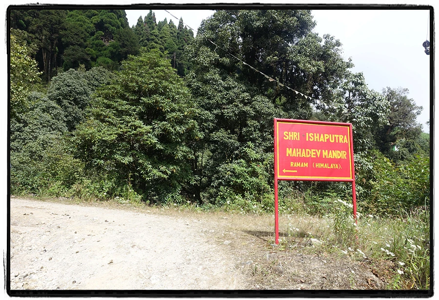 DSC00568.jpg?type=w966