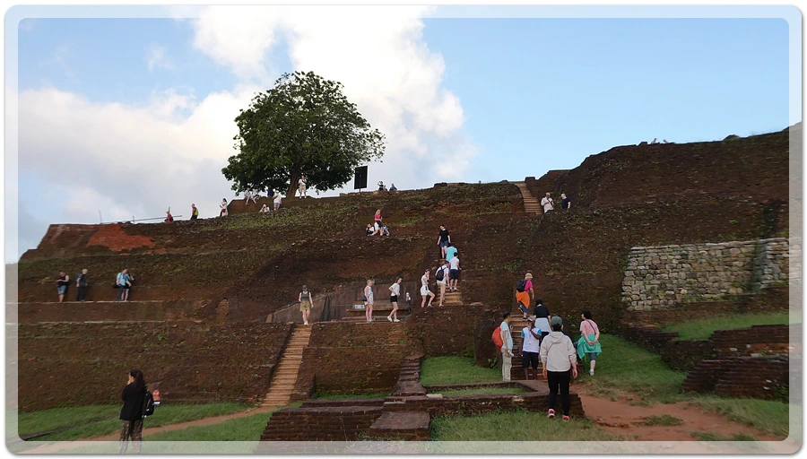 P1011071.jpg?type=w966