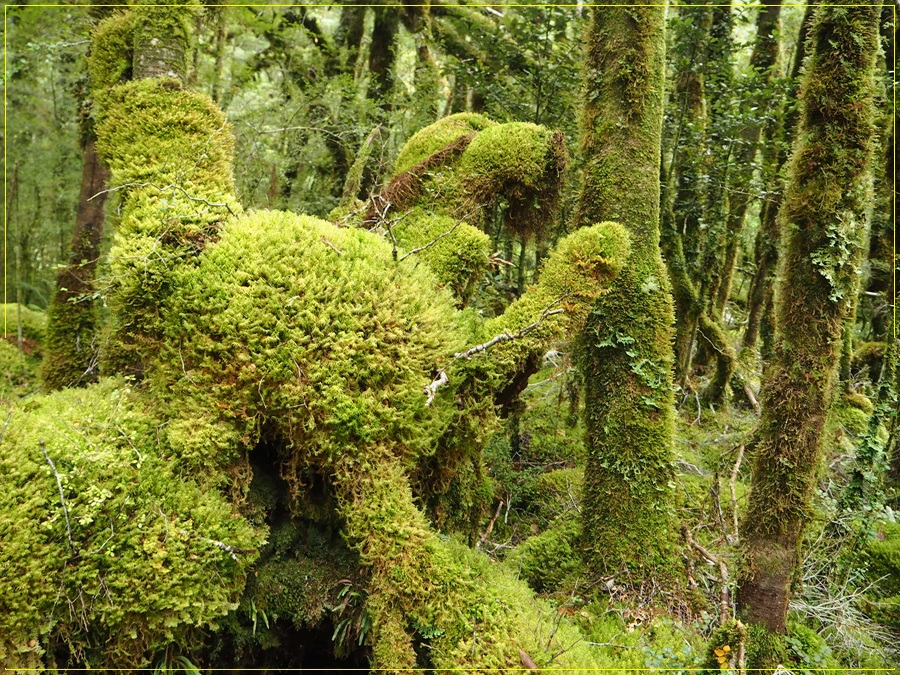 20.jpg?type=w966&jopt=2