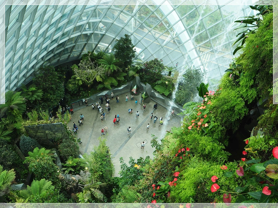 31.jpg?type=w966&jopt=2